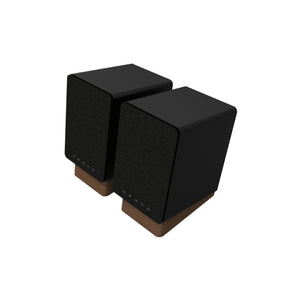 GX-10DB Powered Speakers