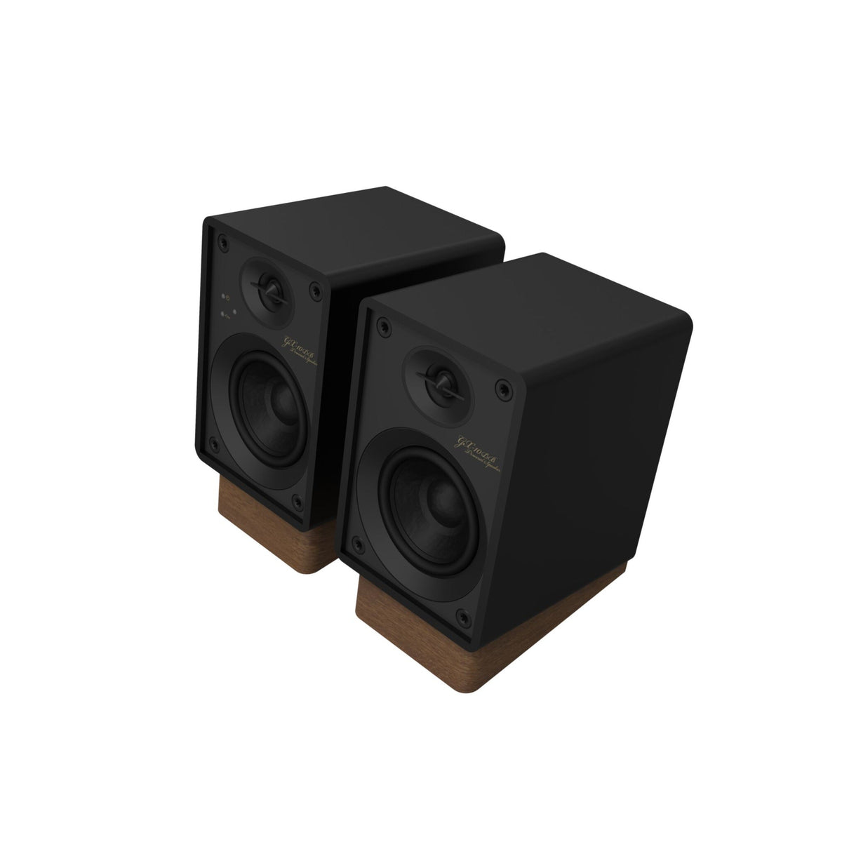 GX-10DB Powered Speakers