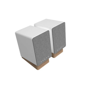 GX-10DB Powered Speakers